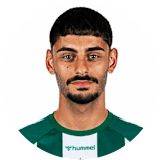 دينكجي